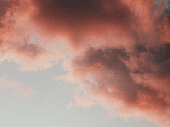 [봄의 집] 바다에 빠진 별의 이름(3)