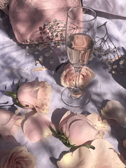 빙의로판의 정석