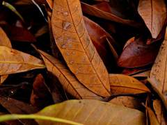 울음을 멈추고 앞을 보아라.