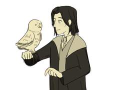 스네이프 낙서 모음