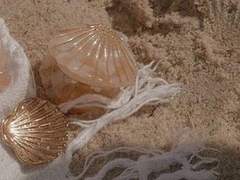 𝑹𝒊𝒆𝒏𝒏𝒆 𝑨𝒈𝒂𝒔𝒂 𝑪𝒂𝒎𝒆𝒍𝒊𝒂