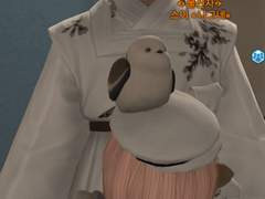 감자 쪼아먹는 오목눈이