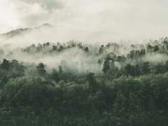 [백출] 회광반조(回光返照)