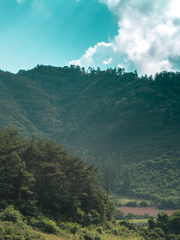 아리_썰아카이브