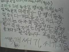 장미는 나의 원수