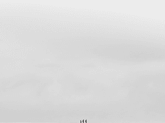 24. 상실의 대가 (1)