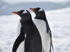 무인 매장의 본질과 규칙