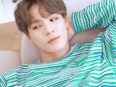 미학과와 수의학과 사이, 로맨스 한 문장 外 (제노 IF)