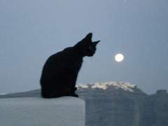 내 텅 빈 달을 건넬게