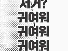 카톡짤로 과몰입하기+