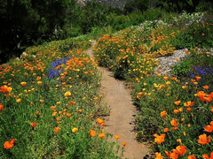 시한부 가이드 수정 들어갑니다!