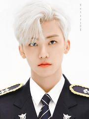 파랑새는 없다.