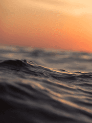 바다 시리즈 (完)