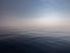 쿠네시타 사요리｜3학년｜체육부