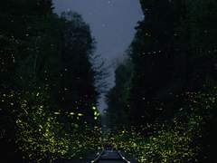 [태웅대만] 연애담 20