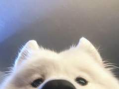 순두부 보디가드 01