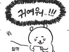 유사투표짤로 과몰입하기