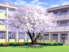 그림 배경 이미지 다수 공유(1)