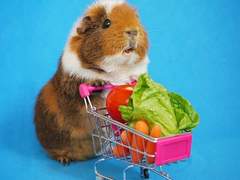 통판 폼 선착명단