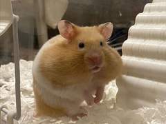 대규모 합숙에 오신 걸 환영합니다! 3