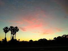 가난한 집에서 태어나