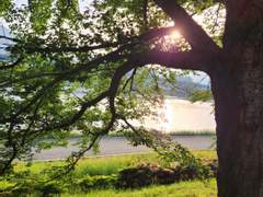 풍경의 아름다움 10