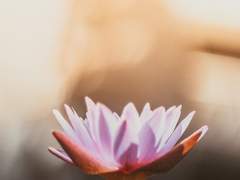 추억을 챙긴다.