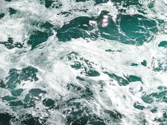 당신과 함께 하는게 즐거우니까요.