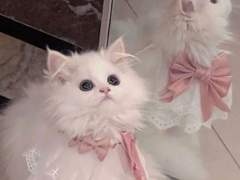 1.5배 더 예뻐지는 법 / 분위기 있어지는 법