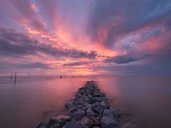 03. 황혼녘의 환시