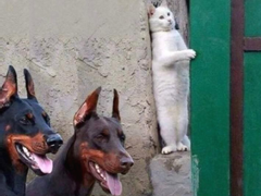 헤비 머신건 2056 Ⅱ