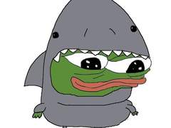 자컾 솜인형 갠제후기