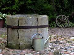 바다 혹은 우물 속