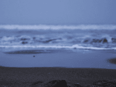 [상른, 준상] 소금맛 키스 上