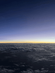 좆같은 인생, 개같이 부활