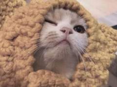 건주 글씨 커미션