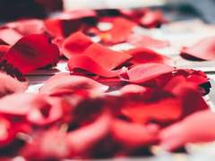 필을 잇는 나그네는 기나긴 이별의 마침표를 찍는다