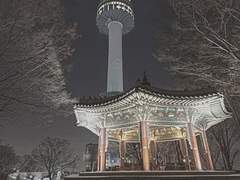 킨제이 보고서 -4