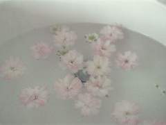 미안한 너에게 보내는 편지