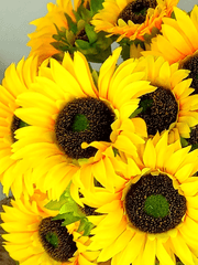 [루치스파ts] 2세