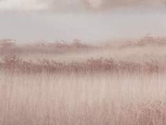 한여름 밤의 사고뭉치들