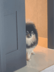 친구 오빠랑 사귄 썰