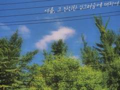 여름, 그 잔인한 싱그러움에 대하여