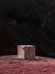 마법사의 아이들