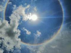 나와 용님 동거일지 下