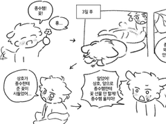 [종상] 캣독 2