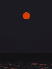 이명헌의 가짜신부