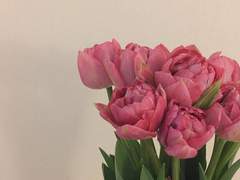 우리 동네 꽃집에는 사랑을 팔아요_06