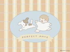 아이패드 배경화면 : 강아지