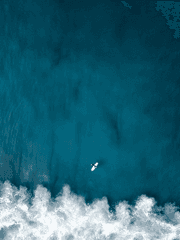 호열백호 장편 연성 : 아가미